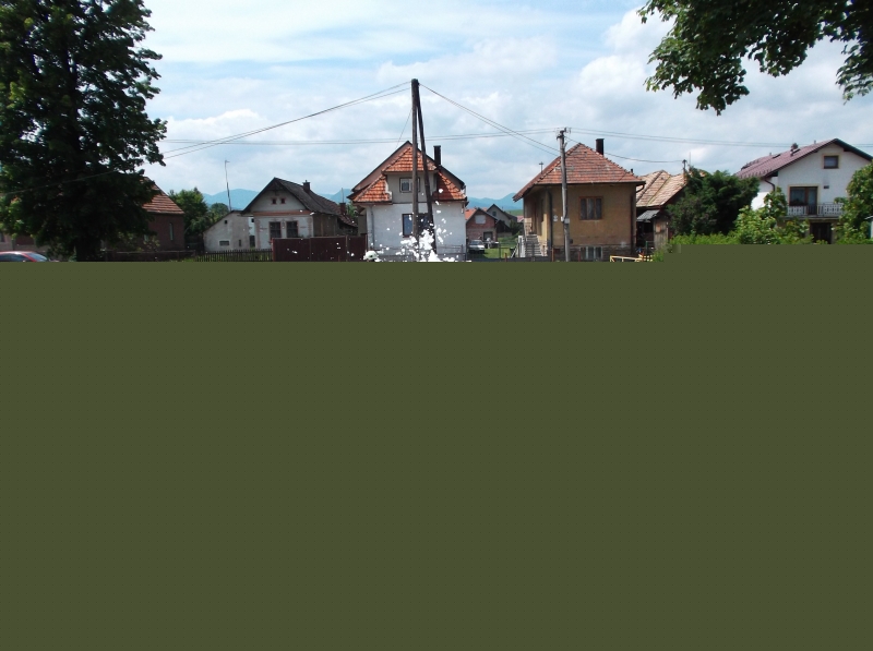 DSCF3385.JPG